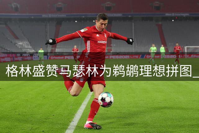 格林盛赞马瑟林为鹈鹕理想拼图 称其能填补默里墨菲空缺